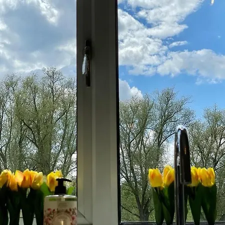 Church View Bolton Percy